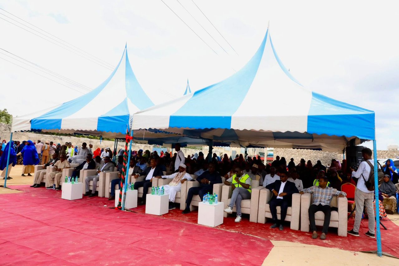 Project 11 - Digital Marketing Campaign